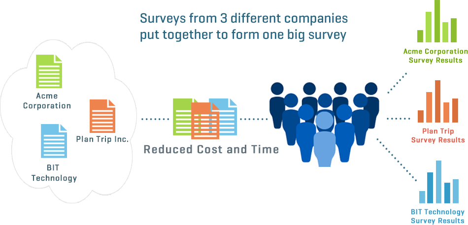 What is a Piggyback Survey?